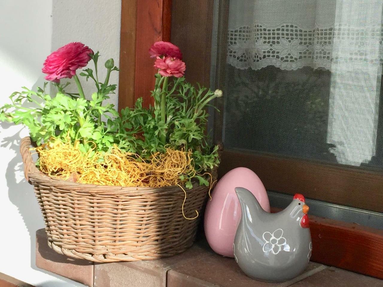 Apartman ámbitus-ház Egerszalók